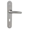 Poignée De Porte<2 poignées de porte sur plaque rond avec serrure Amga, entraxe 195mm, coloris gris satiné
