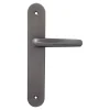 Poignée De Porte<2 poignées de porte sur plaque rond Amga, entraxe 195mm, coloris titane