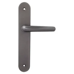 Poignée De Porte<2 poignées de porte sur plaque rond Amga, entraxe 195mm, coloris titane