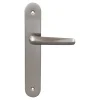 Poignée De Porte<2 poignées de porte sur plaque rond Amga, entraxe 195mm, coloris gris satiné