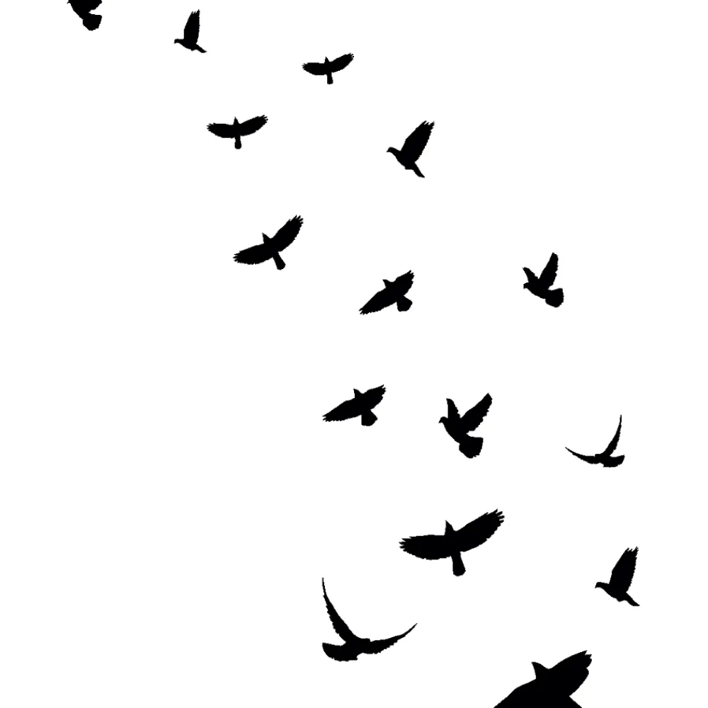 Ambiance Sticker 15 stickers oiseaux anti-collision translucide 50 x 50 cm- Film Occultant Pour Vitrage