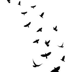 Ambiance Sticker Film Occultant Pour Vitrage<15 stickers oiseaux anti-collision translucide 55 x 55 cm