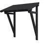 Skan Holz Auvent bois Paderborn 2, 242x156cm, épicéa, traitement coloré anthracite- Auvent Et Marquise