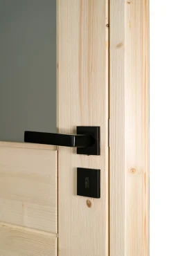 Lynporte Bloc Porte<Bloc Porte bois épicéa HORIZON 1 vitrage 830 droit