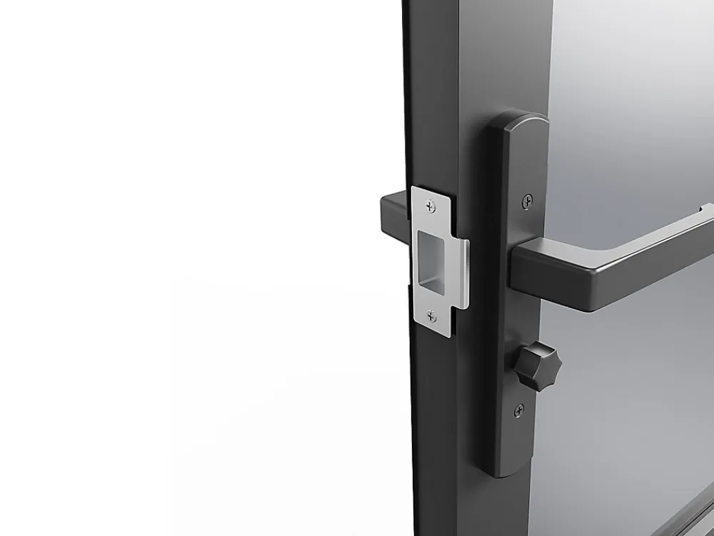 Vente-unique Bloc Porte<Bloc porte réversible à deux battants en aluminium et verre trempé fumé - 2 x H204 x L73 cm - Noir - MASERU