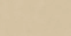Ro'Ma Carrelage Carrelage Sol Effet Béton<Carrelage effet Béton Beige Doré 120x60x0,9 cm Mat Talvoro - Sol et mur intérieur (vendu par carton de 1,44 m²) -
