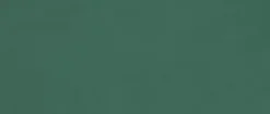 Ro'Ma Carrelage Carrelage Mural Uni<Carrelage effet Enduit Vert Pin 120x50x0,85 cm Mat Calviro - Mur intérieur (vendu par carton de 1,8 m²) -