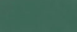 Ro'Ma Carrelage Carrelage Mural Uni<Carrelage effet Enduit Vert Pin 120x50x0,85 cm Mat Calviro - Mur intérieur (vendu par carton de 1,8 m²) -