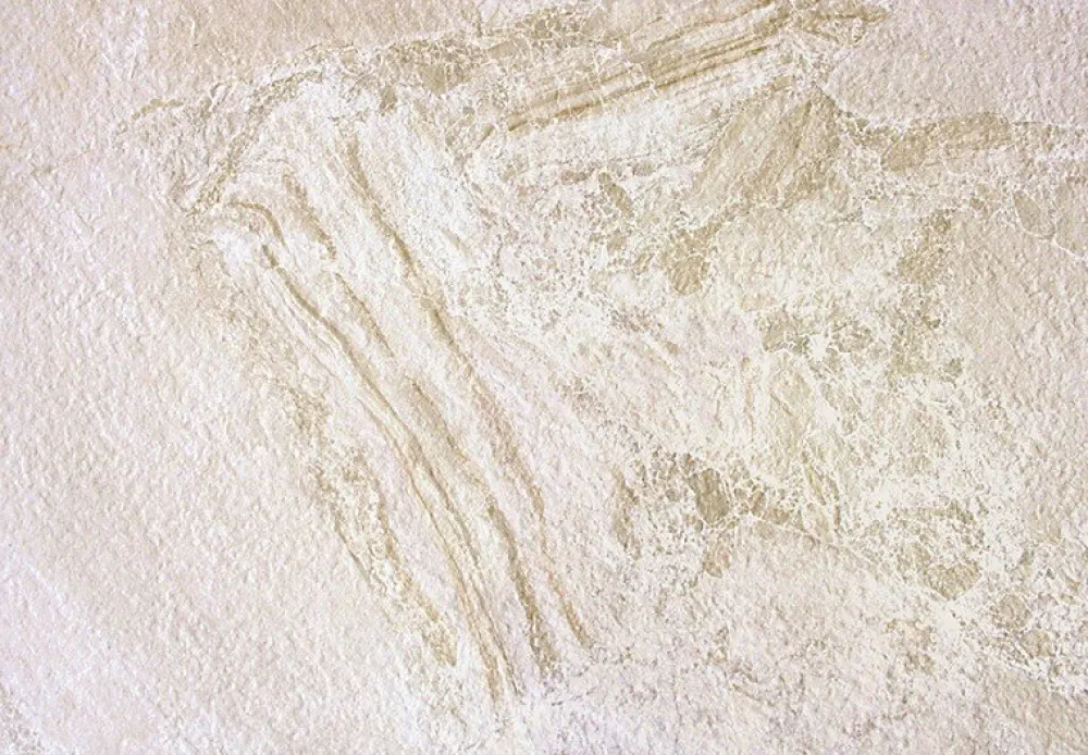 Concept Mosaïque Carrelage Extérieur Et Terrasse<carrelage PERUGIA BEIGE 45x65 cm imitation pierre
