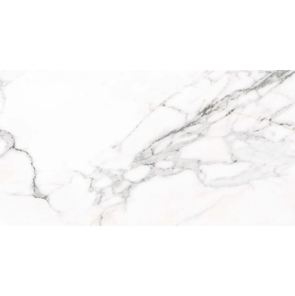Aelle Carrelage Carrelage Sol Effet Marbre<Carrelage sol / mur effet marbre blanc 60x120 cm DONEY BLANCO