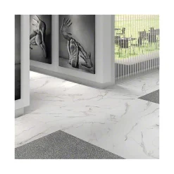 Aelle Carrelage Carrelage Sol Effet Marbre<Carrelage sol / mur effet marbre blanc 60x120 cm DONEY BLANCO