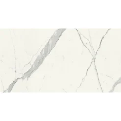 Aelle Carrelage Carrelage Sol Effet Marbre<Carrelage sol / mur effet marbre blanc 60x120 cm - SCULTOREA statuario vena argento J402