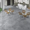 Rentside Carrelage sol brillant gris l.60 x L.60 cm Tunisia grey- Carrelage Sol Effet Marbre|Carrelage Sol Pour Pièce À Vivre
