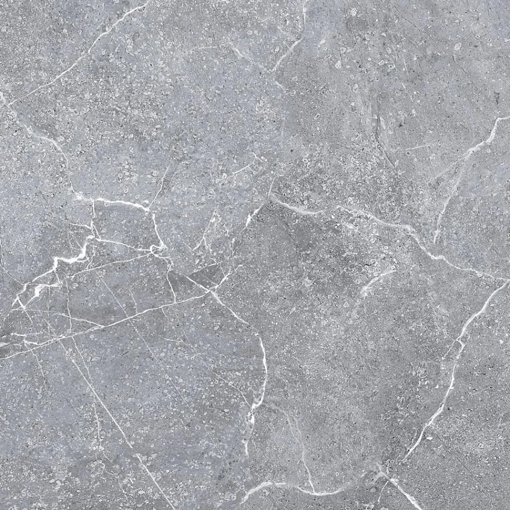 Rentside Carrelage sol brillant gris l.60 x L.60 cm Tunisia grey- Carrelage Sol Effet Marbre|Carrelage Sol Pour Pièce À Vivre