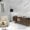 Rentside Carrelage Sol Effet Marbre<Carrelage sol effet marbre brillant blanc l.120 x L.60 cm Statuario