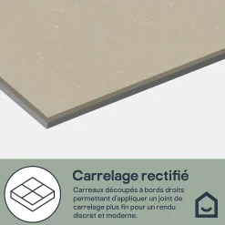 GoodHome Carrelage sol et mur effet marbre beige brillant L.60 x l.60 cm x ép.8 mm, Musetta- Carrelage Mural Effet Marbre|Carrelage Mural Pour Douche
