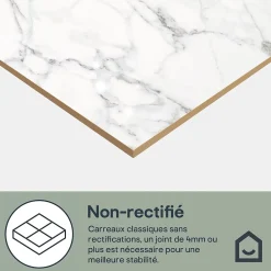 GoodHome Carrelage sol et mur effet marbre blanc brillant L.60,8 x l.60,8 cm x ép.8,5 mm, Aruma- Carrelage Mural Effet Marbre|Carrelage Mural Pour Douche