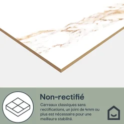 GoodHome Carrelage Mural Effet Marbre|Carrelage Mural Pour Salle De Bains<Carrelage sol et mur effet marbre blanc et doré brillant L.60,8 x l.60,8 cm x ép.8,5 mm - lot de 4, Aruma