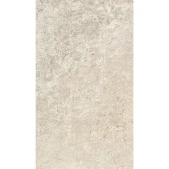 GoodHome Carrelage Mural Pour Wc|Carrelage Mural Effet Béton<Carrelage sol et mur gris clair effet béton L.59,5 x l.29,5 cm x ép.8,7 mm, Arina
