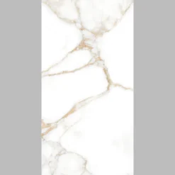 Carrelage Mural Pour Douche|Carrelage Mural Effet Marbre<Carrelage sol et mur intérieur en grès cérame effet marbre blanc poli L.120 x l.60 cm x ép.9 mm, Fiordo Reve