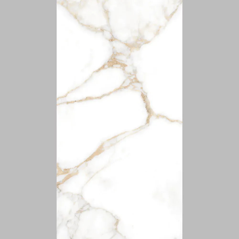 Carrelage Mural Pour Douche|Carrelage Mural Effet Marbre<Carrelage sol et mur intérieur en grès cérame effet marbre blanc poli L.120 x l.60 cm x ép.9 mm, Fiordo Reve