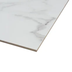 Ecoceramic Carrelage Mural Effet Marbre|Carrelage Mural Pour Douche<Carrelage sol et mur intérieur en grès effet marbre blanc brillant L.60 x l.60 cm x ép.8,5 mm, Aria
