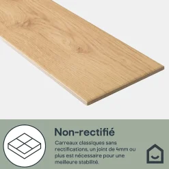 GoodHome Carrelage Mural Effet Bois|Carrelage Mural Pour Douche<Carrelage sol et mur intérieur effet bois brut beige L.15 x l.90 cm x ép.9 mm, Lulea