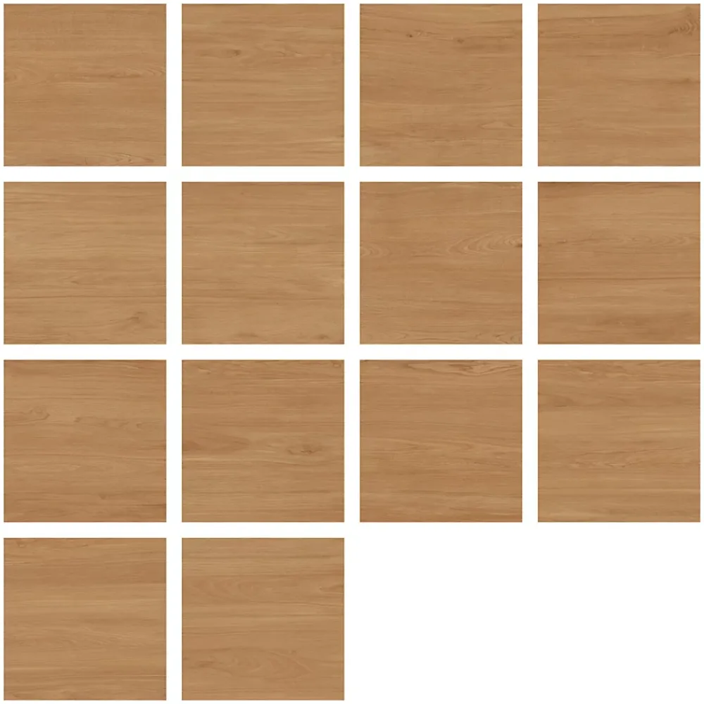 Ecoceramic Carrelage Extérieur Et Terrasse<Carrelage sol extérieur en grès cérame émaillé effet bois naturel l.60 x L.60 x ép.2 cm Parkwood