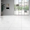 GoodHome Carrelage sol intérieur blanc poli brillant L.60 x l.60 cm x ép.9,5 mm, Latinie- Carrelage Mural Pour Wc|Carrelage Sol Pour Wc