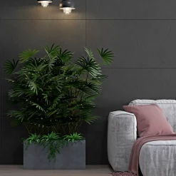 Bien Seramik Carrelage sol/mur effet pierre anthracite mat Crag Anthracite l.60 x L.120 cm- Carrelage Sol Uni
