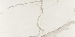 Deco Prom Faïence Effet Marbre<Carrelage sol/mur intérieur effet MARBRE l.60 x L.120 cm ALBATROS