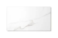 Dumaplast Dalle PVC Trapani 37,5 x 65 cm Dumawall- Dalle Murale Pvc