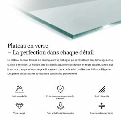 Wallfluent Plateau En Verre<Dessus de table en verre trempé 125x50 cm Transparent