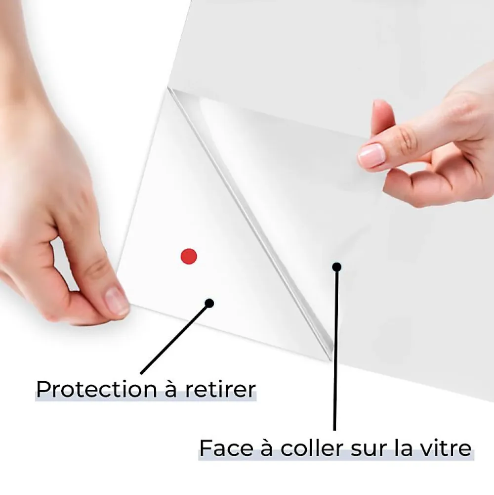 DIMEXACT - Film adhésif anti-regard mat translucide pour extérieur - 152 cm x 0.5 m - en Rouleau- Film Occultant Pour Vitrage