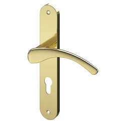 GoodHome Ensemble poignée sur plaque rond Ruis effet laiton doré L.138.5mm x l.40mm entraxe 195mm- Poignée De Porte Extérieure