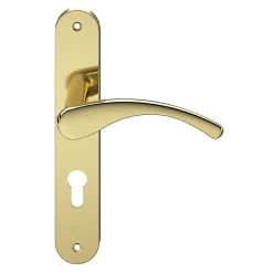 GoodHome Ensemble poignée sur plaque rond Ruis effet laiton doré L.138.5mm x l.40mm entraxe 195mm- Poignée De Porte Extérieure
