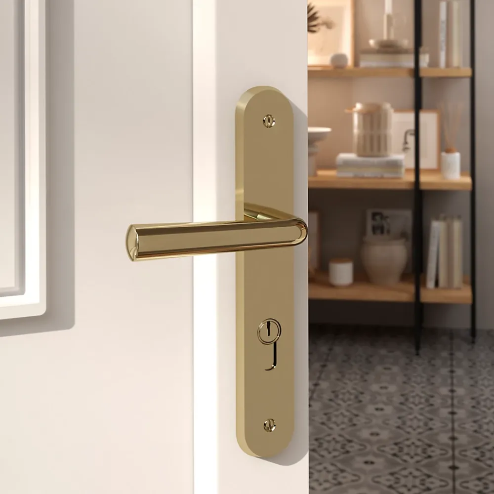 GoodHome Ensemble poignée sur plaque rondcylindre Tudy effet laiton brillant doré L.119mm x l.41mm entraxe 195mm- Poignée De Porte Extérieure