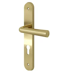 GoodHome Ensemble poignée sur plaque rondcylindre Tudy effet laiton brillant doré L.119mm x l.41mm entraxe 195mm- Poignée De Porte Extérieure
