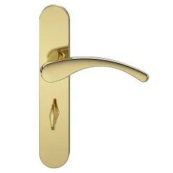GoodHome Poignée De Porte<Ensemble poignée sur plaque rond à condamnation Ruis effet laiton doré L.138.5mm x l.42mm entraxe 165-195mm