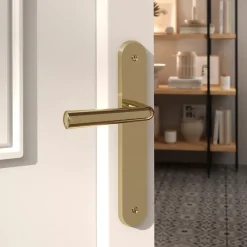 GoodHome Poignée De Porte Extérieure<Ensemble poignée sur plaque rond Tudy effet laiton brillant doré L.119mm x l.41mm entraxe 195mm