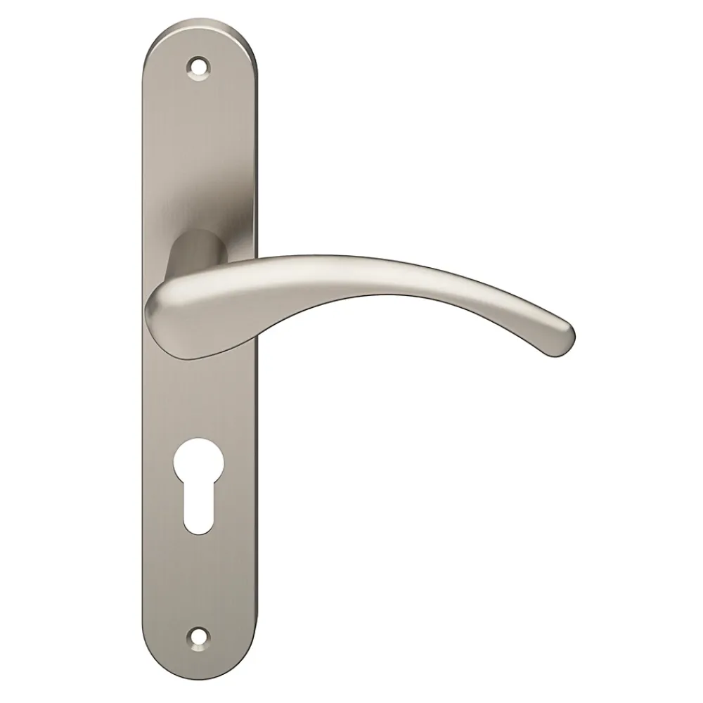 GoodHome Ensemble poignée sur plaque rond Ruis effet nickel satin gris L.138.5mm x l.40mm entraxe 195mm- Poignée De Porte Extérieure