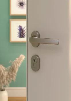 GoodHome Ensemble poignée sur rosace Incurvé à visser Primel effet nickel satin gris chromé- Poignée De Porte Extérieure
