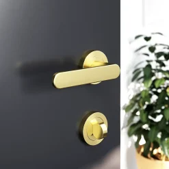 GoodHome Ensemble poignée sur rosace rond à visser Minzh effet laiton satin or Ø50mm- Poignée De Porte