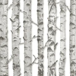 Estahome Papier Peint<papier peint troncs de bouleau gris chaud clair - 53 cm x 10.05 m - 138889