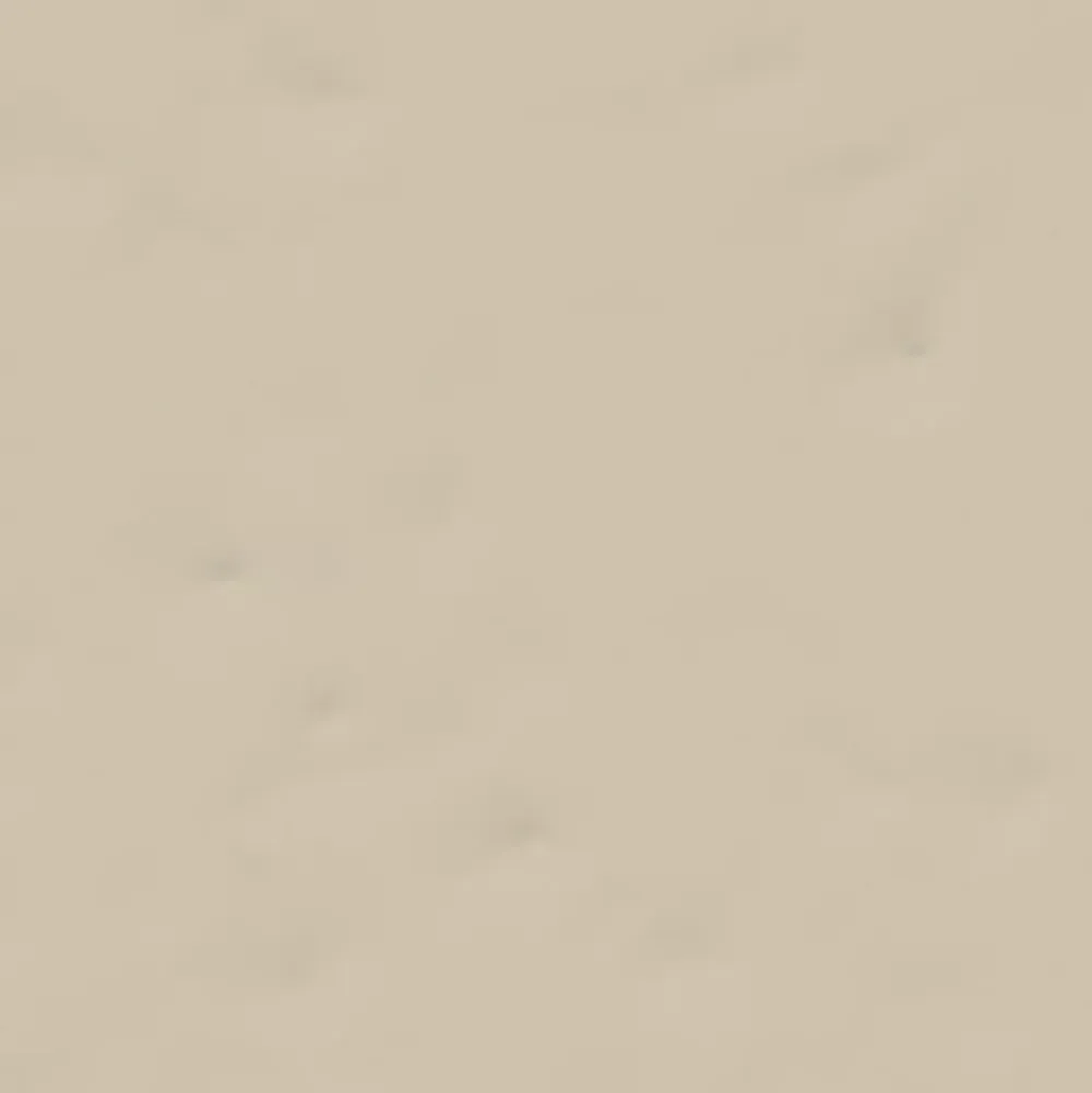 Vives Faïence Unie<Faïence Berta Beige 20 x 20cm ( vendu par boite de 1 m² )