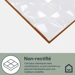 GoodHome Faïence murale blanc brillant avec relief L.60 x l.20 cm x ép.8,3 mm, Plain- Faïence Unie|Faïence Pour Douche