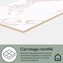 GoodHome Faïence Effet Marbre|Carrelage Mural Pour Wc<Faïence murale effet marbre blanc brillant L.90 x l.30 cm x ép.8,7 mm, Oazis