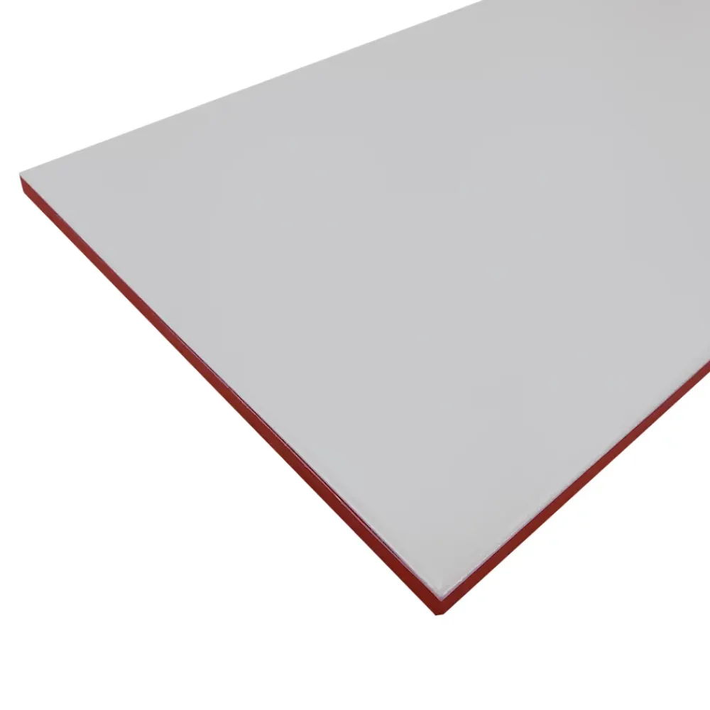 GoodHome Faïence Unie|Faïence Pour Douche<Faïence murale gris clair satiné L.60 x l.20 cm x ép.8,3 mm, Plain