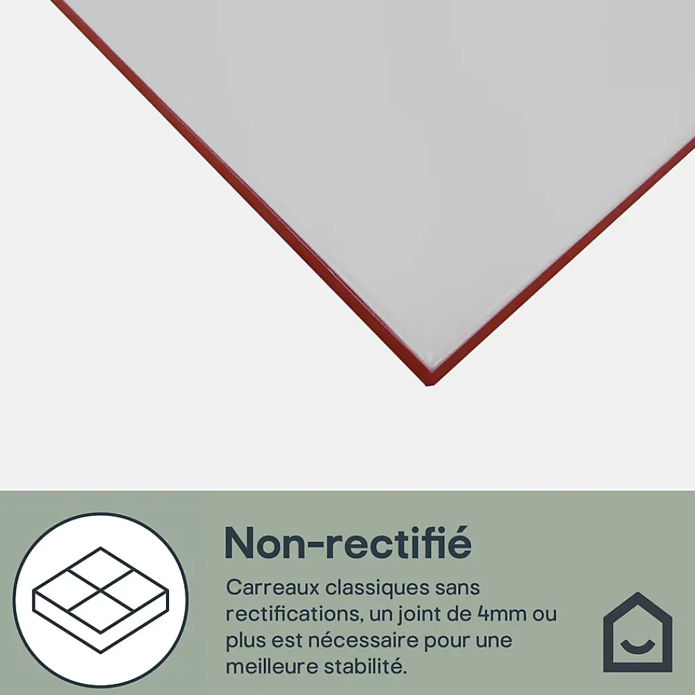 GoodHome Faïence Unie|Faïence Pour Douche<Faïence murale gris clair satiné L.60 x l.20 cm x ép.8,3 mm, Plain