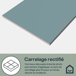 GoodHome Faïence murale intérieur bleu satiné L.60 x l.30 cm x ép.7 mm, Colville- Carrelage Mural Pour Douche|Carrelage Mural Pour Salle De Bains